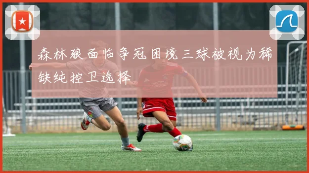 森林狼面临争冠困境三球被视为稀缺纯控卫选择