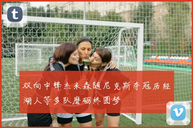 双向中锋杰米森随尼克斯夺冠历经湖人等多队磨砺终圆梦